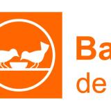 Logo de l'employeur BANQUE ALIMEN MARTINI LUTTE CONTRE FAIM