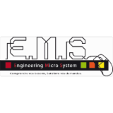 Logo de l'employeur ENGINEERING MICRO SYSTEM