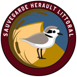 Logo de l'employeur ASSOCIATION SAUVEGARDE HERAULT LITTORAL