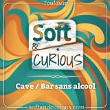 Logo de l'employeur SOFT AND CURIOUS