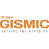 Logo de l'employeur GIS MIC (GLOBAL INTERNATIONAL SERVICES M