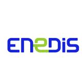 Logo de l'employeur ENEDIS