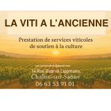 Logo de l'employeur LA VITI A L'ANCIENNE