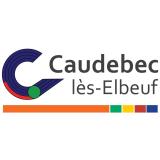 Logo de l'employeur COMMUNE DE CAUDEBEC LES ELBEUF