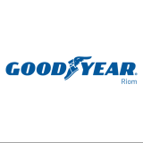 Logo de l'employeur GOODYEAR FRANCE