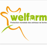 Logo de l'employeur WELFARM - PROTECTION MONDIALE DES ANIMAU