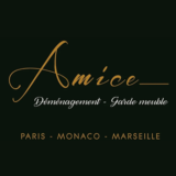 Logo de l'employeur SASU AMICE DEMENAGEMENTS