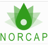 Logo de l'employeur NORCAP