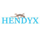 Logo de l'employeur HENDYX