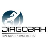 Logo de l'employeur DIAGOBAH ILE-DE-FRANCE