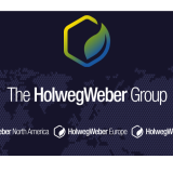 Logo de l'employeur HOLWEG GROUP