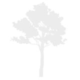 Logo de l'employeur ART DECORATION NATURE PAYSAGE