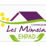 Logo de l'employeur EHPAD LES MIMOSAS