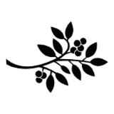 Logo de l'employeur AIRELLES
