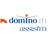 Logo de l'employeur DOMINO MISSION