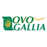 Logo de l'employeur OVOGALLIA