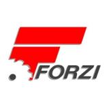 Logo de l'employeur FORZI & FILS