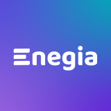 Logo de l'employeur SAS ENEGIA