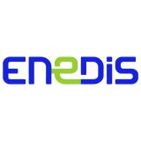 Logo de l'employeur ENEDIS