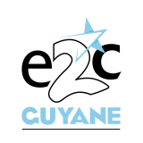 Logo de l'employeur RESEAU D'ACTEURS GUYANAIS POUR UNE INS