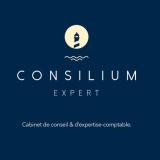 Logo de l'employeur CONSILIUM EXPERT
