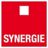 Logo de l'entreprise SYNERGIE