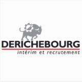 Logo de l'entreprise DERICHEBOURG INTERIM ET RECRUTEMENT