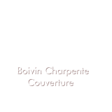 Logo de l'employeur BOIVIN CHARPENTE