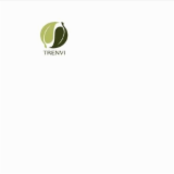 Logo de l'employeur TRENVI