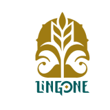 Logo de l'employeur LINGONE