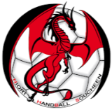 Logo de l'employeur NIORT HANDBALL SOUCHEEN