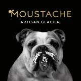 Logo de l'employeur MOUSTACHE