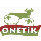 Logo de l'entreprise ONETIK