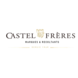 Logo de l'employeur CASTEL FRERES