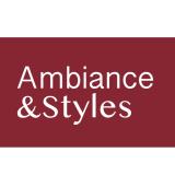 Logo de l'employeur Ambiance et styles