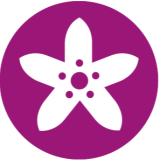 Logo de l'employeur NEROLIANE