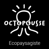 Logo de l'employeur OCTOPOUSSE