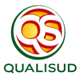 Logo de l'employeur QUALISUD