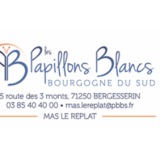 Logo de l'employeur LES PAPILLONS BLANCS BOURGOGNE DU SUD