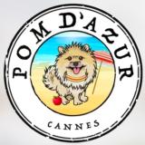 Logo de l'employeur POM D'AZUR