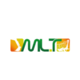 Logo de l'employeur M.L.T