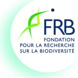 Logo de l'employeur FRB