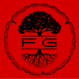 Logo de l'employeur FG MULTISERVICES