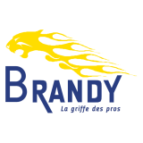 Logo de l'employeur SAS GARAGE DE L'ABATTOIR BRANDY