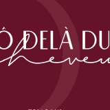 Logo de l'employeur O DELA DU CHEVEU