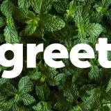 Logo de l'employeur SNC MORTA