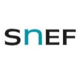 Logo de l'employeur SNEF - JOB DATING 24 mars