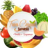 Logo de l'employeur TRANS CARAIBE SERVICES