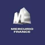 Logo de l'employeur MERCURIO FRANCE