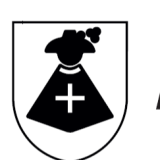 Logo de l'employeur DARTUS LEVAGE